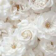 ヒメ日記 2025/07/15 09:41 投稿 鈴(すず) グランドオペラ横浜