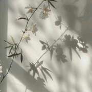 ヒメ日記 2025/07/20 11:34 投稿 鈴(すず) グランドオペラ横浜