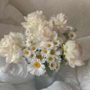 ヒメ日記 2025/07/25 12:04 投稿 鈴(すず) グランドオペラ横浜