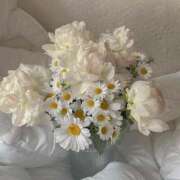 ヒメ日記 2025/07/28 11:03 投稿 鈴(すず) グランドオペラ横浜