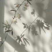 ヒメ日記 2025/07/29 10:22 投稿 鈴(すず) グランドオペラ横浜