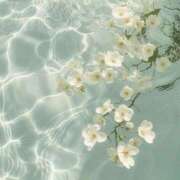 ヒメ日記 2025/08/01 13:04 投稿 鈴(すず) グランドオペラ横浜