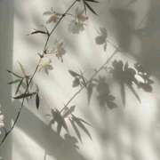 ヒメ日記 2025/08/02 17:02 投稿 鈴(すず) グランドオペラ横浜