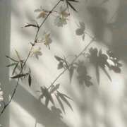 ヒメ日記 2025/08/04 18:21 投稿 鈴(すず) グランドオペラ横浜