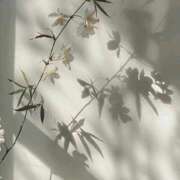 ヒメ日記 2025/08/05 10:31 投稿 鈴(すず) グランドオペラ横浜