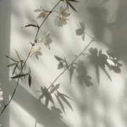 ヒメ日記 2025/08/15 12:25 投稿 鈴(すず) グランドオペラ横浜