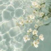 ヒメ日記 2025/08/19 22:42 投稿 鈴(すず) グランドオペラ横浜