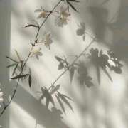 ヒメ日記 2025/08/29 17:03 投稿 鈴(すず) グランドオペラ横浜