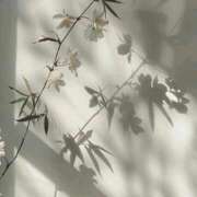 ヒメ日記 2025/08/31 22:01 投稿 鈴(すず) グランドオペラ横浜