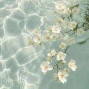 ヒメ日記 2025/08/31 22:21 投稿 鈴(すず) グランドオペラ横浜