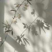 ヒメ日記 2025/08/31 22:51 投稿 鈴(すず) グランドオペラ横浜