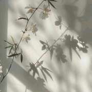 ヒメ日記 2025/09/03 12:32 投稿 鈴(すず) グランドオペラ横浜