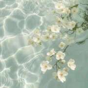 ヒメ日記 2025/09/03 12:35 投稿 鈴(すず) グランドオペラ横浜