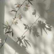 ヒメ日記 2025/09/15 23:51 投稿 鈴(すず) グランドオペラ横浜