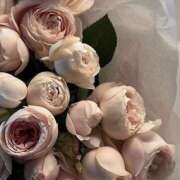 ヒメ日記 2025/09/23 23:00 投稿 鈴(すず) グランドオペラ横浜