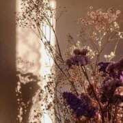 ヒメ日記 2025/09/24 12:21 投稿 鈴(すず) グランドオペラ横浜