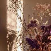 ヒメ日記 2025/10/08 12:51 投稿 鈴(すず) グランドオペラ横浜