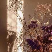 ヒメ日記 2025/10/17 13:21 投稿 鈴(すず) グランドオペラ横浜