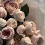 ヒメ日記 2025/11/06 17:31 投稿 鈴(すず) グランドオペラ横浜