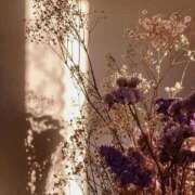 ヒメ日記 2025/11/06 17:59 投稿 鈴(すず) グランドオペラ横浜