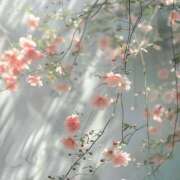 ヒメ日記 2026/03/11 18:41 投稿 鈴(すず) グランドオペラ横浜