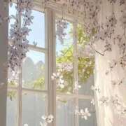 ヒメ日記 2026/03/15 10:41 投稿 鈴(すず) グランドオペラ横浜