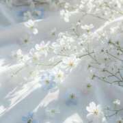 ヒメ日記 2026/03/20 19:12 投稿 鈴(すず) グランドオペラ横浜