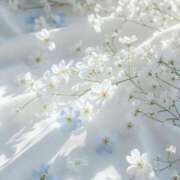 ヒメ日記 2026/04/23 20:21 投稿 鈴(すず) グランドオペラ横浜