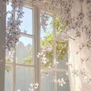 ヒメ日記 2026/04/24 12:49 投稿 鈴(すず) グランドオペラ横浜