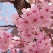 ヒメ日記 2025/04/10 18:58 投稿 深沢 池田マッサージ