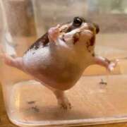 ヒメ日記 2026/01/05 15:31 投稿 深沢 池田マッサージ