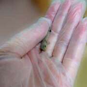 深沢 出勤日❣️ 池田マッサージ