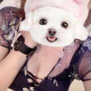 ヒメ日記 2025/05/29 21:30 投稿 渡辺 人妻楼 木更津店