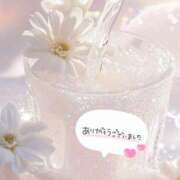 ヒメ日記 2025/07/25 16:08 投稿 りん 白いぽっちゃりさん仙台店