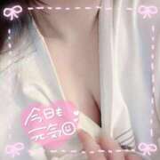 しなもん ナニする…？💭💕 横浜・関内サンキュー