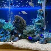 ヒメ日記 2025/05/18 23:44 投稿 斉藤やよい イエスグループ熊本 華女