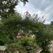 ヒメ日記 2025/10/23 18:09 投稿 斉藤やよい イエスグループ熊本 華女