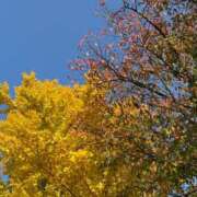 ヒメ日記 2025/11/26 19:17 投稿 斉藤やよい イエスグループ熊本 華女