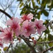 ヒメ日記 2026/01/17 08:30 投稿 斉藤やよい イエスグループ熊本 華女