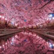 ヒメ日記 2026/03/06 19:42 投稿 斉藤やよい イエスグループ熊本 華女