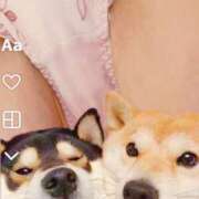 ヒメ日記 2025/05/16 07:07 投稿 あゆな 出逢い