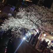 ヒメ日記 2025/04/07 14:47 投稿 あすか with SPA (ウィズスパ)