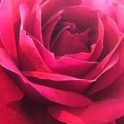 ヒメ日記 2025/10/03 16:50 投稿 かおり 奥鉄オクテツ東京店（デリヘル市場）