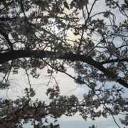 ヒメ日記 2025/04/09 03:00 投稿 れん☆ギャップにドハマり☆ アネキャンモード