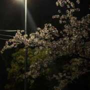 ヒメ日記 2025/04/15 21:30 投稿 れん☆ギャップにドハマり☆ アネキャンモード