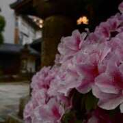 ヒメ日記 2025/04/25 20:32 投稿 れん☆ギャップにドハマり☆ アネキャンモード