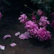 ヒメ日記 2025/05/28 15:15 投稿 れん☆ギャップにドハマり☆ アネキャンモード