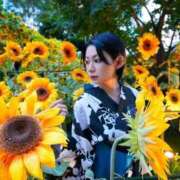 ヒメ日記 2025/08/08 22:01 投稿 れん☆ギャップにドハマり☆ アネキャンモード