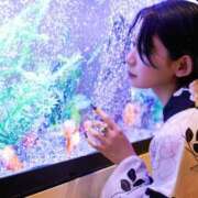 ヒメ日記 2025/08/12 16:50 投稿 れん☆ギャップにドハマり☆ アネキャンモード