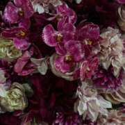 ヒメ日記 2025/08/26 12:09 投稿 れん☆ギャップにドハマり☆ アネキャンモード